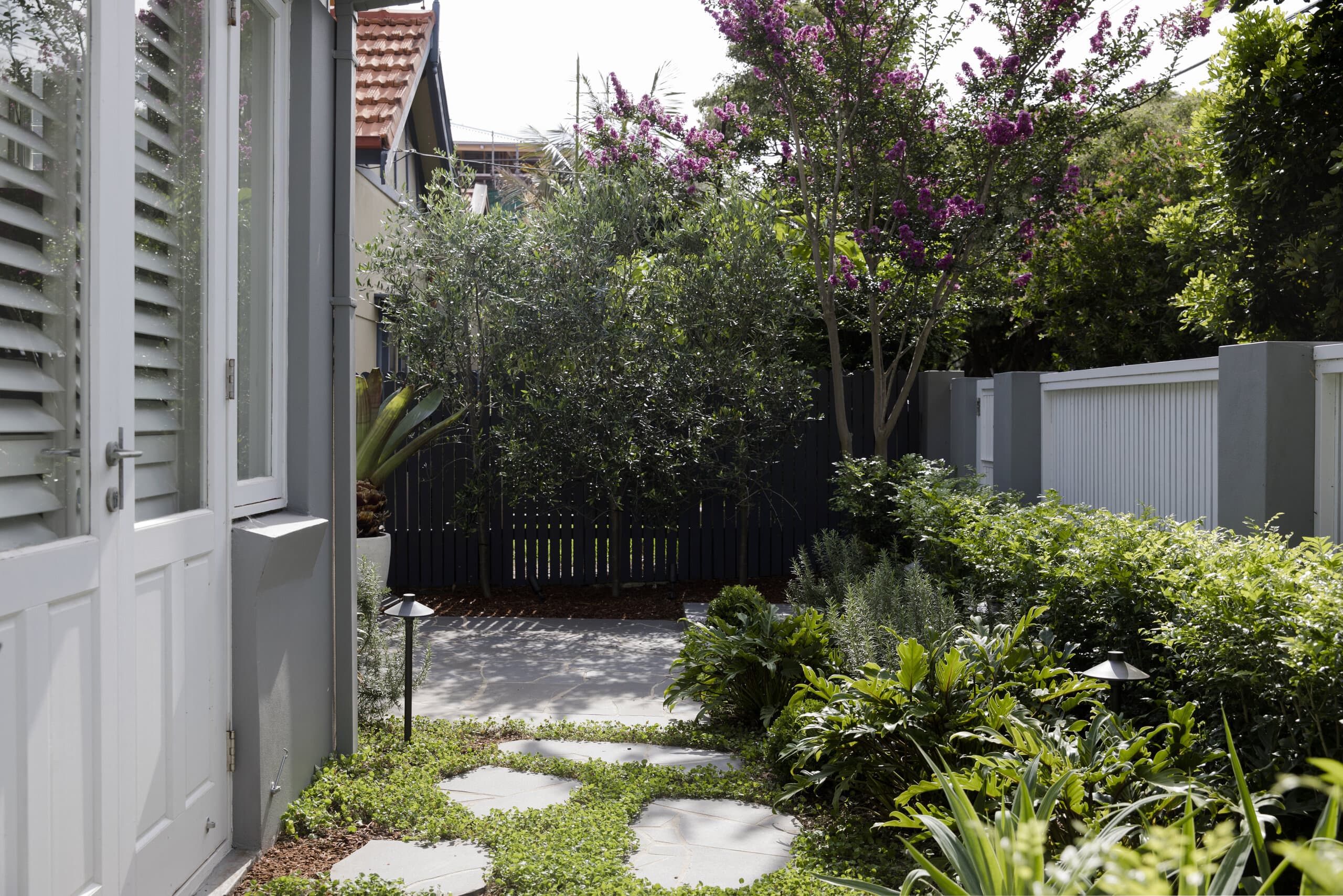 Layered planting and stone path in the Clovelly front garden