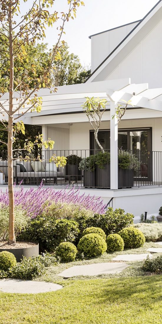 Cronulla front garden, beautiful planting