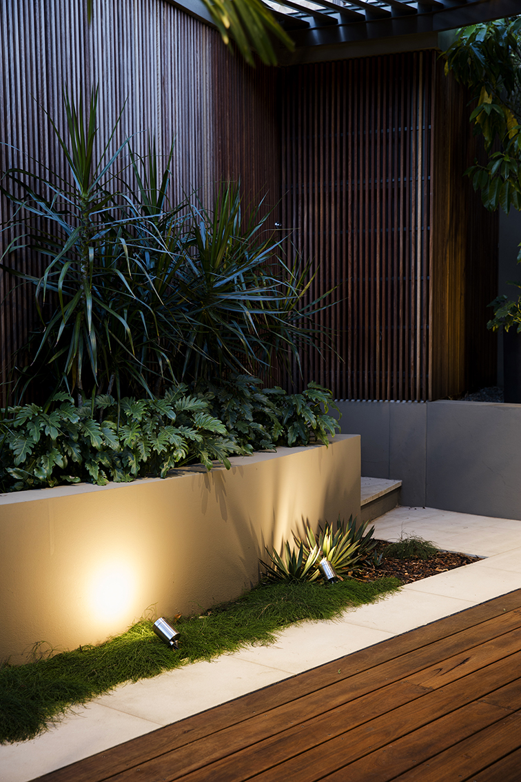 Hunters Hill timber cladding, plants at night