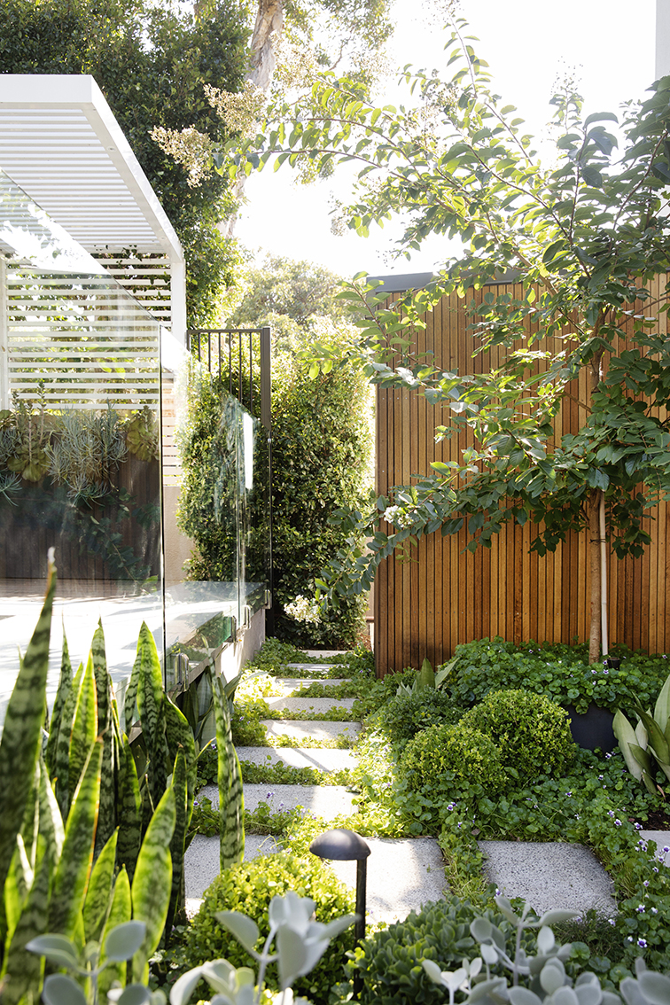 Maroubra Secluded Gem - path with stepping stones -plants - feature tree - timber cladding